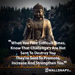 buddha-life-quotes-image
