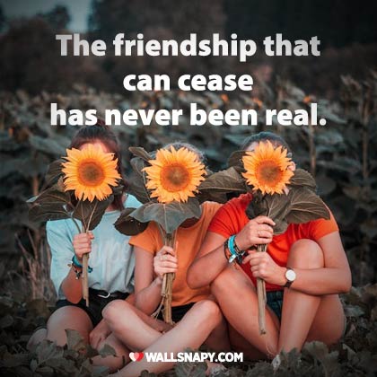 Cute friendship quotes dp pictures