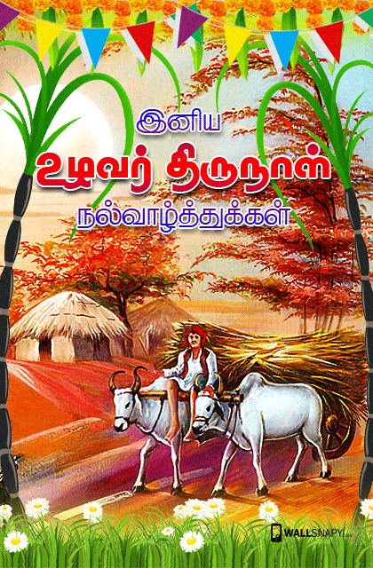 Pongal Kavithai And Wishes Images (Tamilar Thirunaal Vazhthukkal)
