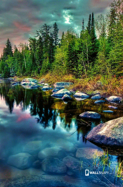 Beautiful Stones In Water, Water Stones HD wallpaper | Pxfuel