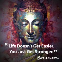 whatsapp-quotes-buddha-dp-hd-images